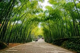 Les produits en bambou dans la vie des Vietnamiens - ảnh 1